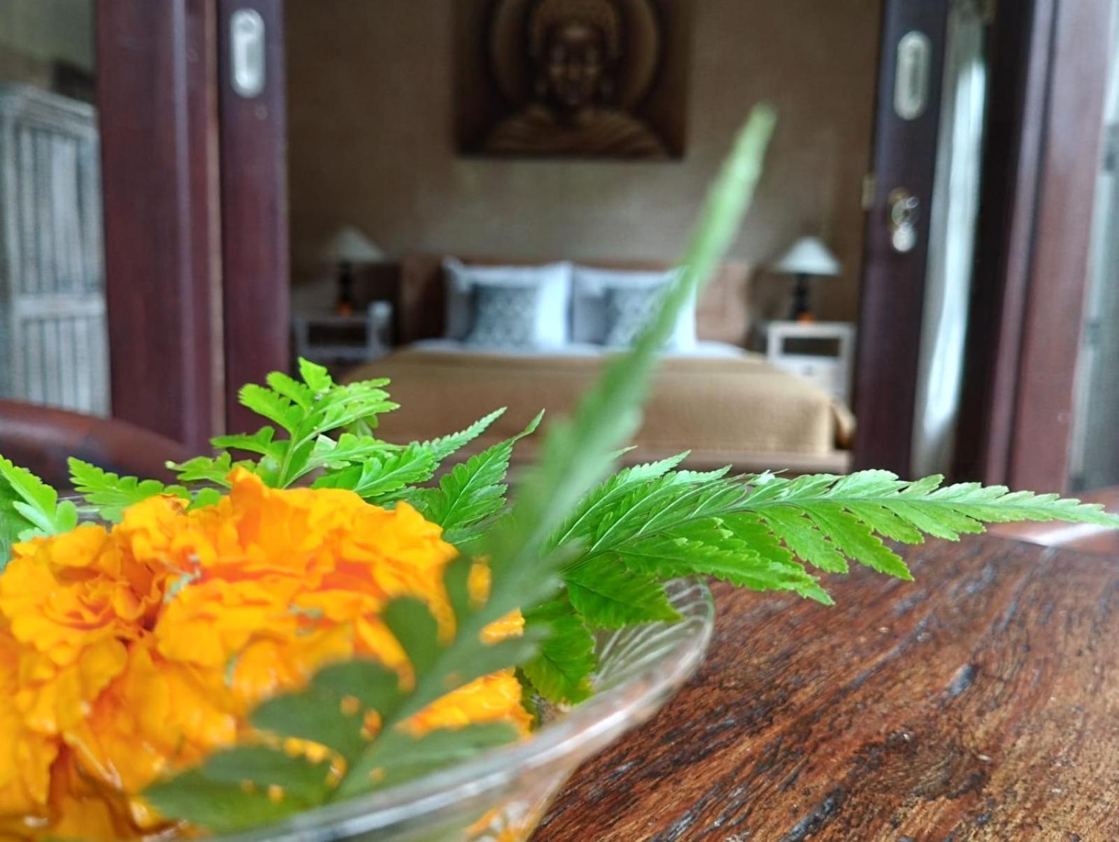 Umah Ubud Guest House Eksteriør bilde